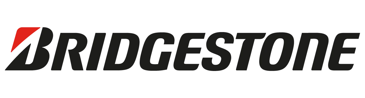 BRIDGSTONE Japan Tyre