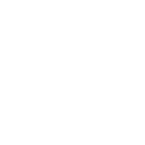 Contact Us - VIP Service 